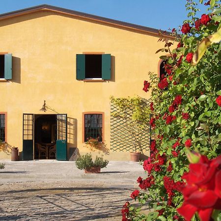 Agriturismo Le Colombaie ブッセート エクステリア 写真