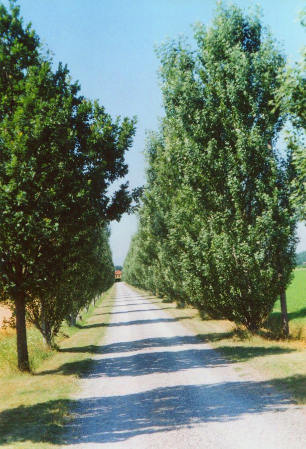 Agriturismo Le Colombaie ブッセート エクステリア 写真
